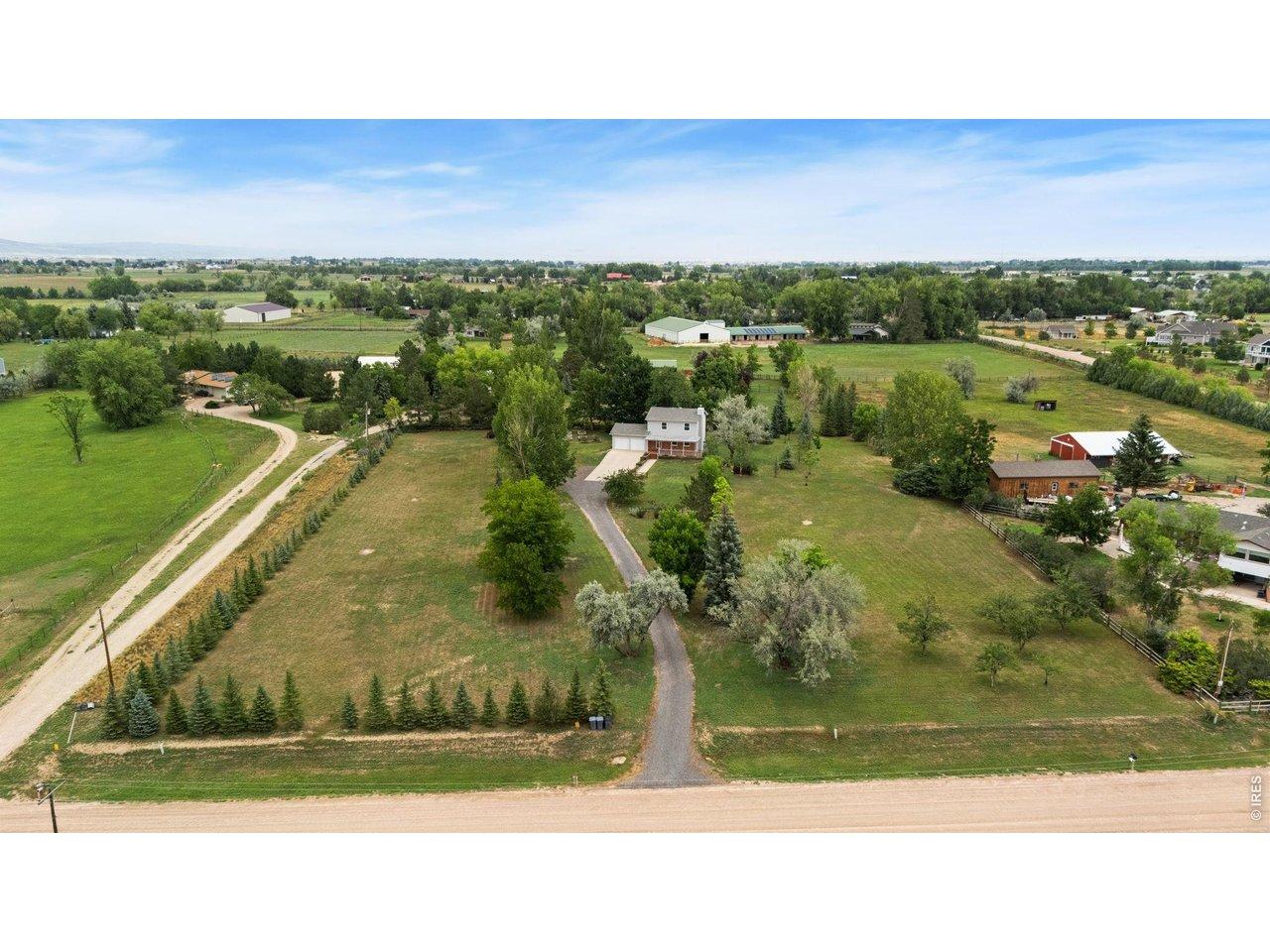 Image 4: Over 100 tress on 2.33 acres Image 4: Over 100 tress on 2.33 acres