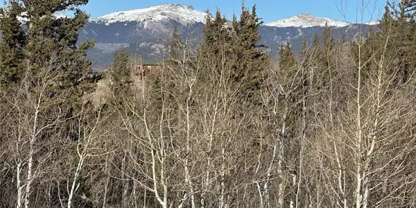 Image 4 Image 4