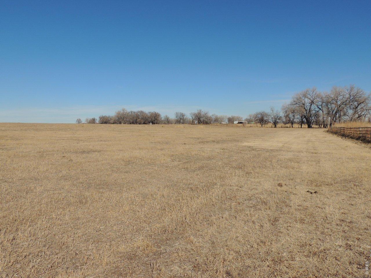 Image 4: Thick Grass Established Image 4: Thick Grass Established