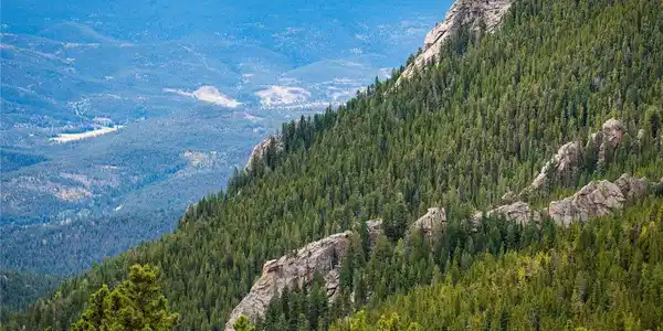 Image 4 Image 4