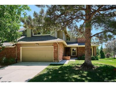 22 Pinyon Pine Rd