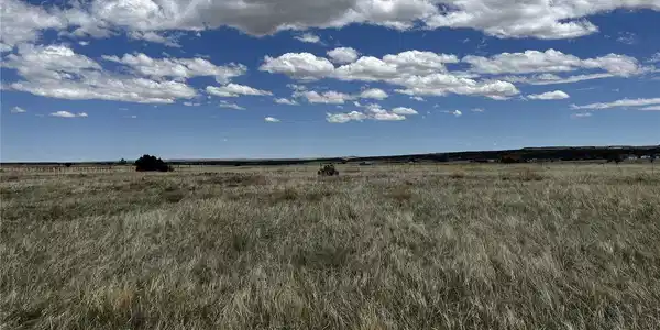 Image 4 Image 4
