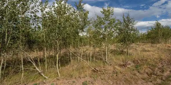 Image 2 Image 2