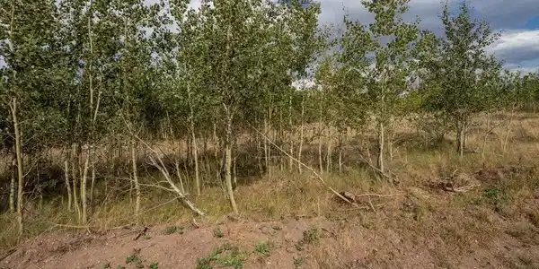 Image 3 Image 3