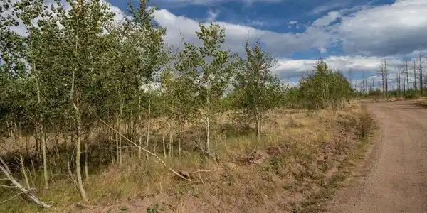Image 4 Image 4