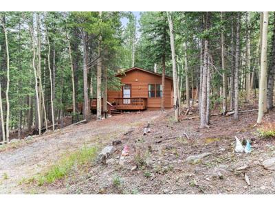 31 Aspen Loop Rd