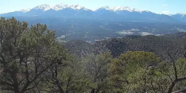 10 Denver Mc