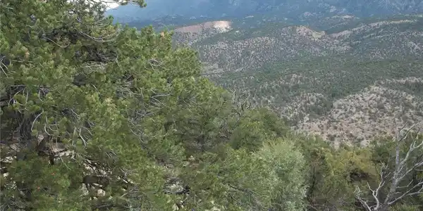 Image 3: Views to the northeast.