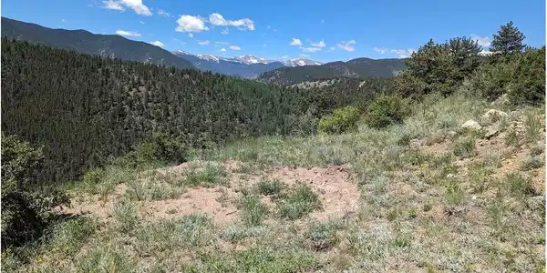 Image 4 Image 4