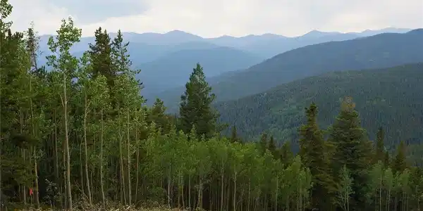 Image 4: Views you would get with a little clearing Image 4: Views you would get with a little clearing