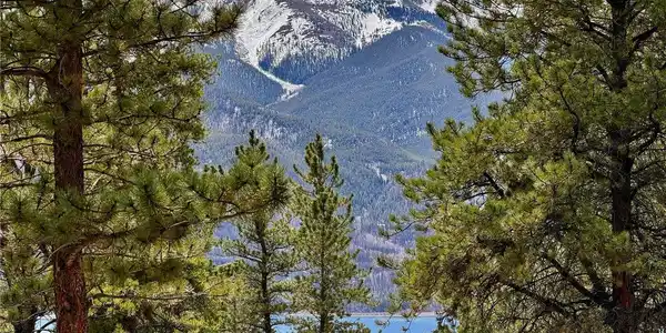 142 La Plata Peak Dr