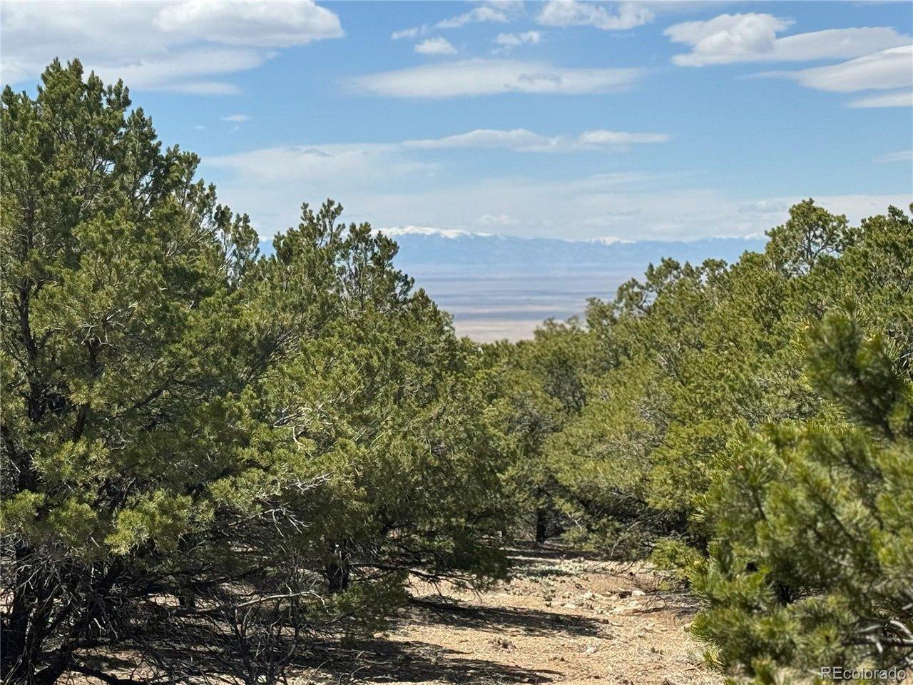 Image 4 Image 4