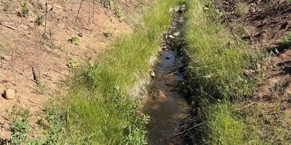 Image 4 Image 4