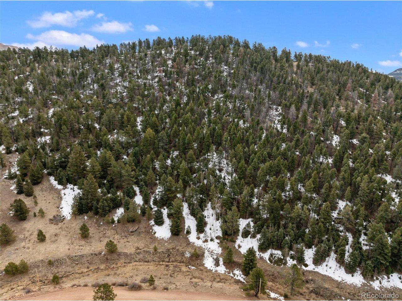 Image 1 Image 1