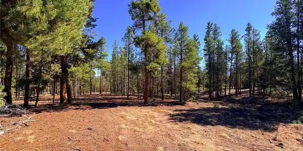 399 Lodgepole Dr