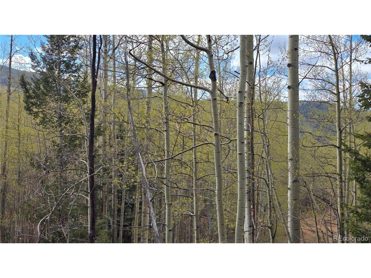 Image 3 Image 3