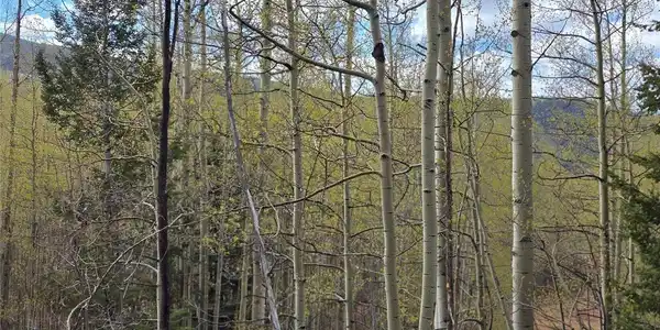 Image 3 Image 3