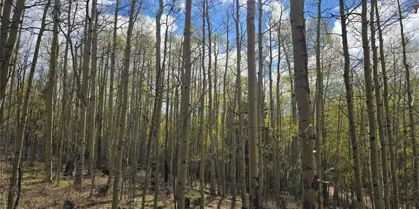 Image 4 Image 4