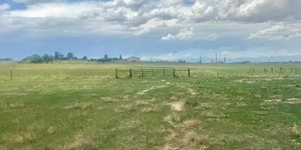 Image 3: Cross fenced Pasture
