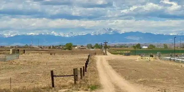 Image 4: North Easement