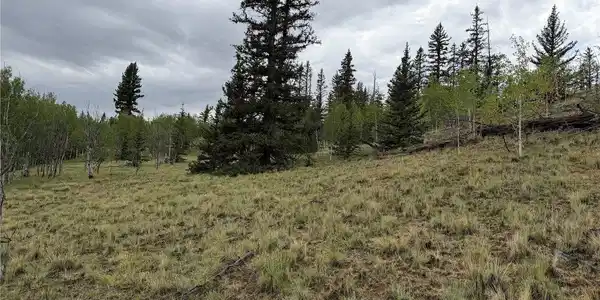 Image 4 Image 4