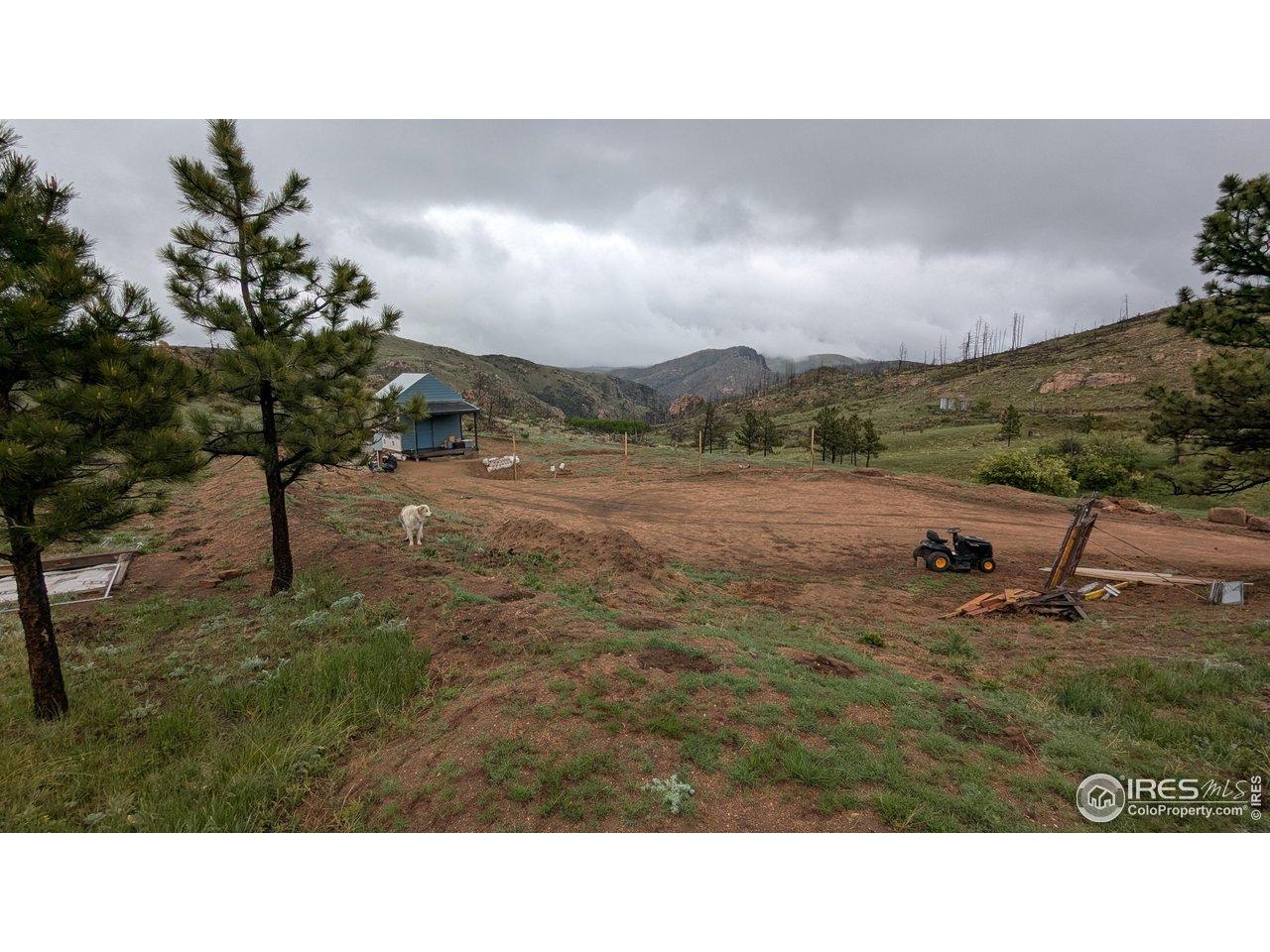 Image 1 Image 1