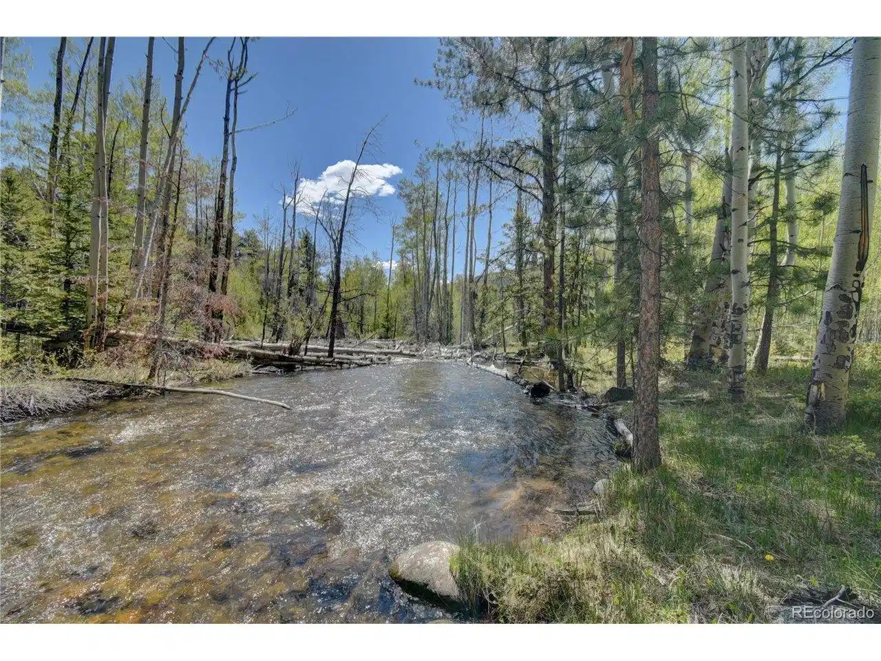 Image 1 Image 1