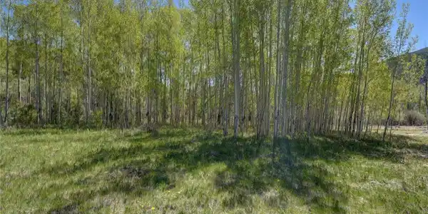 Image 3 Image 3