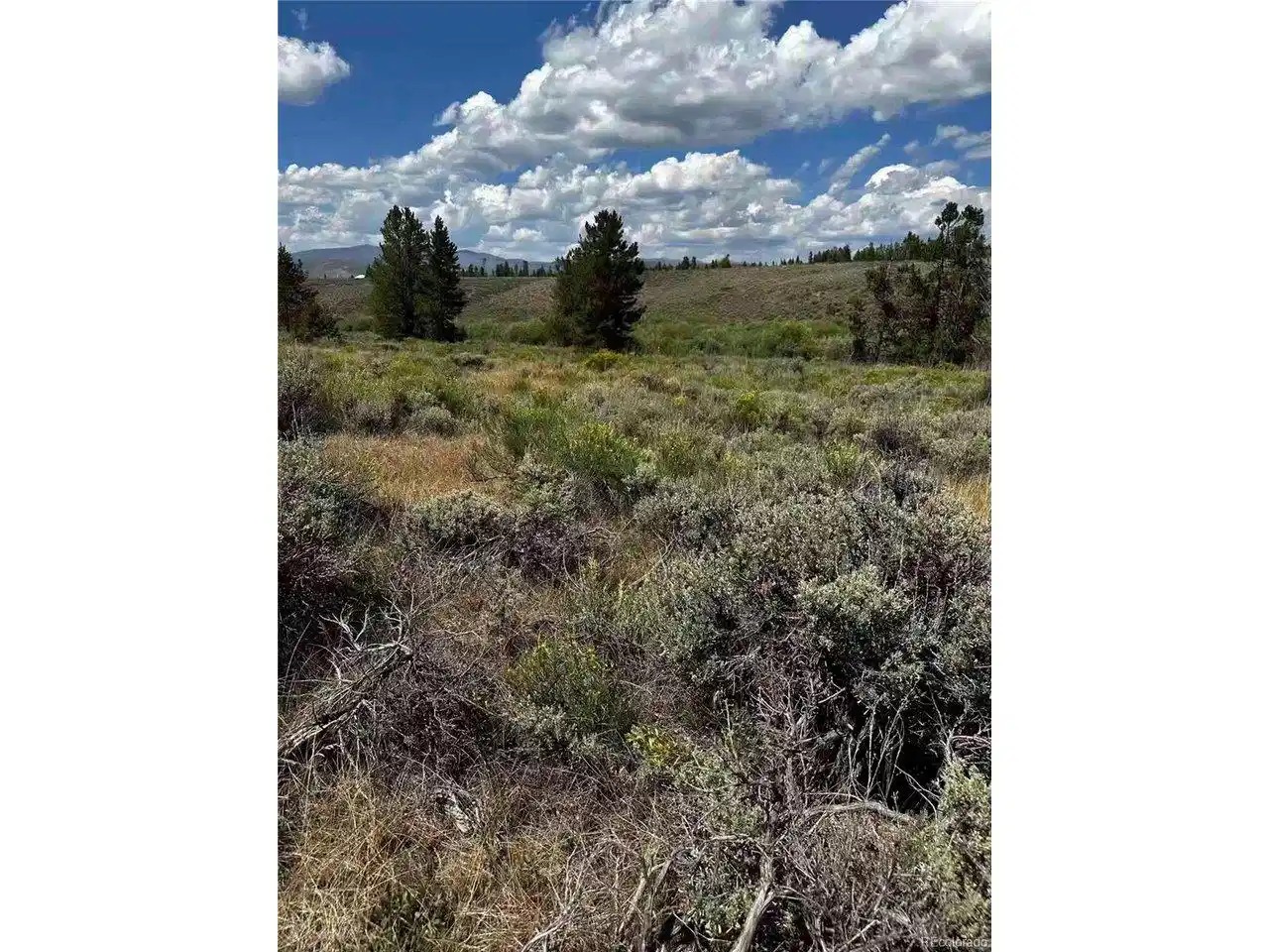 Image 1 Image 1