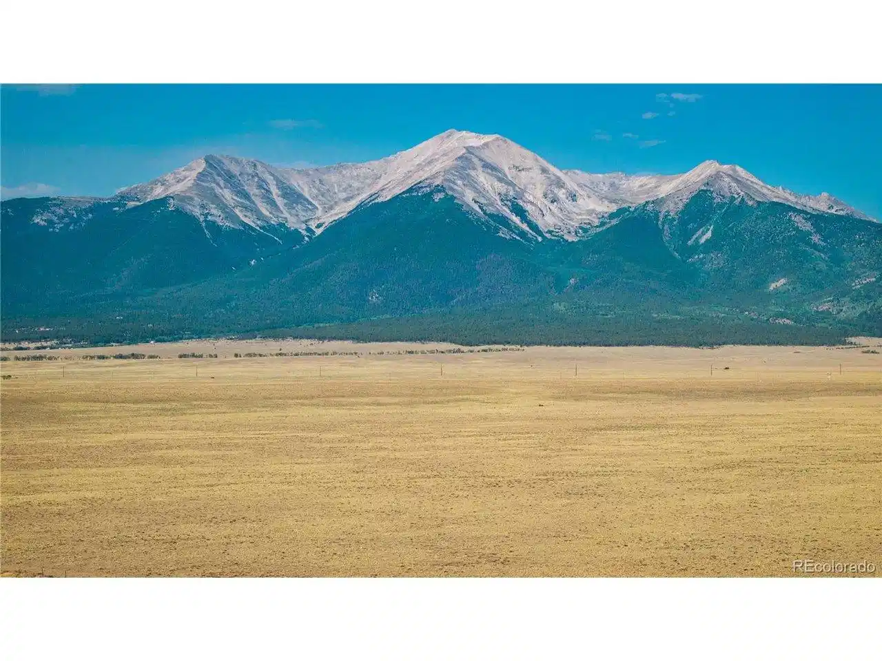 Image 1 Image 1