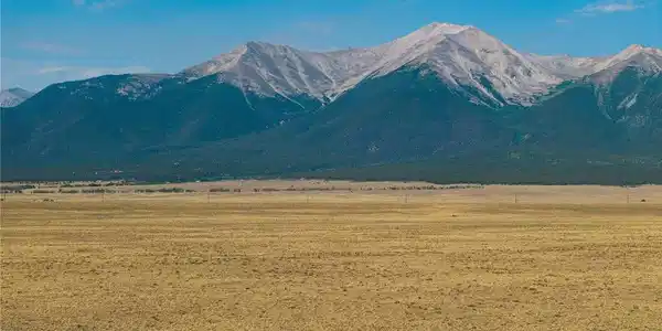 Image 3 Image 3