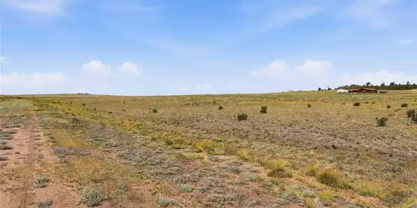 Image 4 Image 4