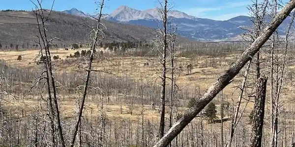Image 4 Image 4