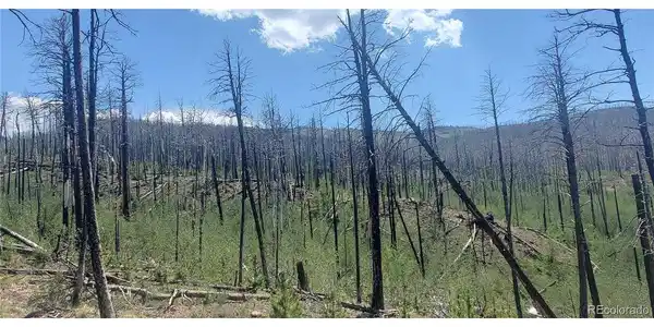 Image 4 Image 4