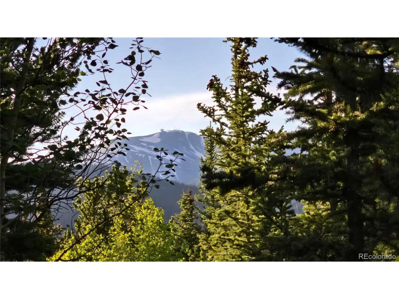 Image 4 Image 4