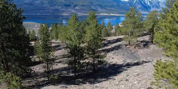 Image 3: Drone photo