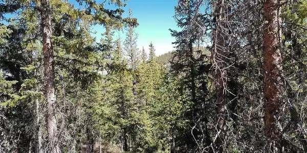 Image 3 Image 3