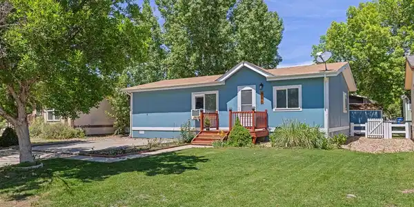 3303 Mammoth