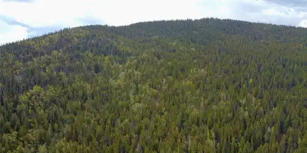 Image 3 Image 3