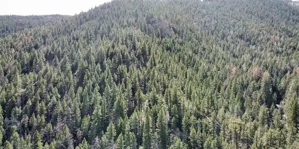 Image 2 Image 2