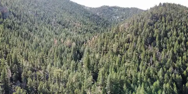 Image 3 Image 3