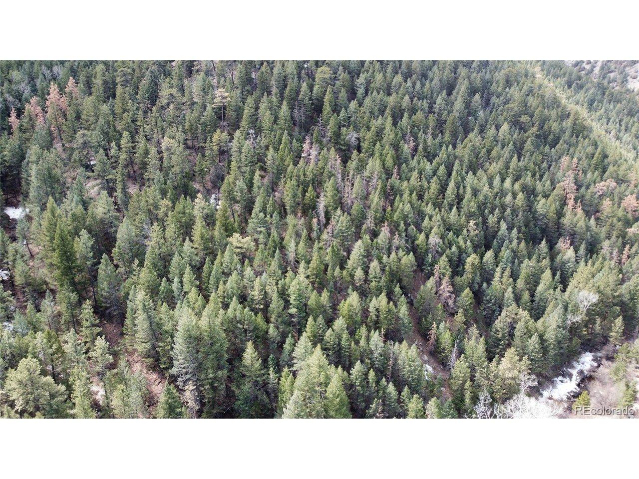 Image 4 Image 4