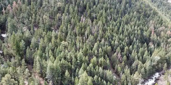 Image 4 Image 4