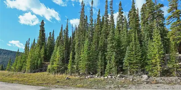 Image 4 Image 4