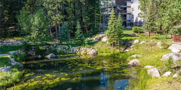 Image 3: You'll be welcomed by this beautiful pond and live directly above it in the tree tops