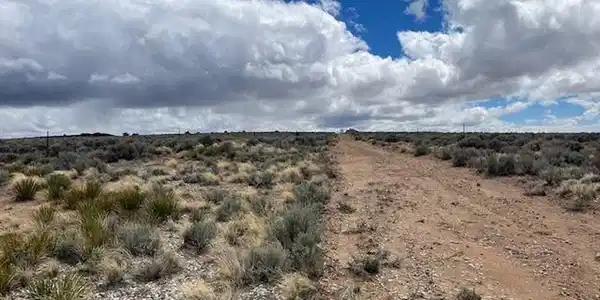 Image 4 Image 4