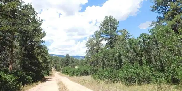 Image 2 Image 2