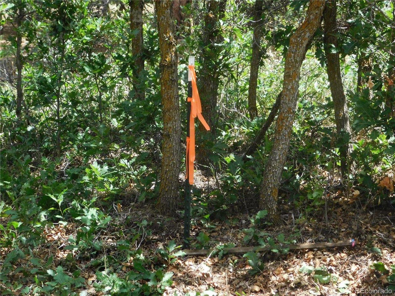 Image 4 Image 4