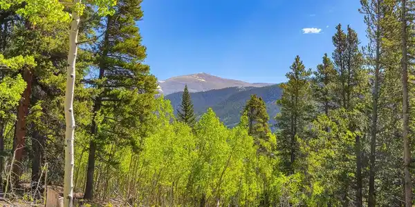 Image 2: 35 Acres