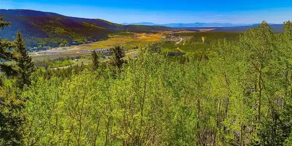Image 4: Richly treed with Pine and Aspen